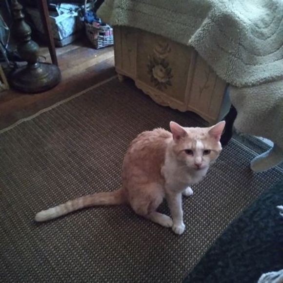 Meet your Posher, Randy - Picture 1 of 1